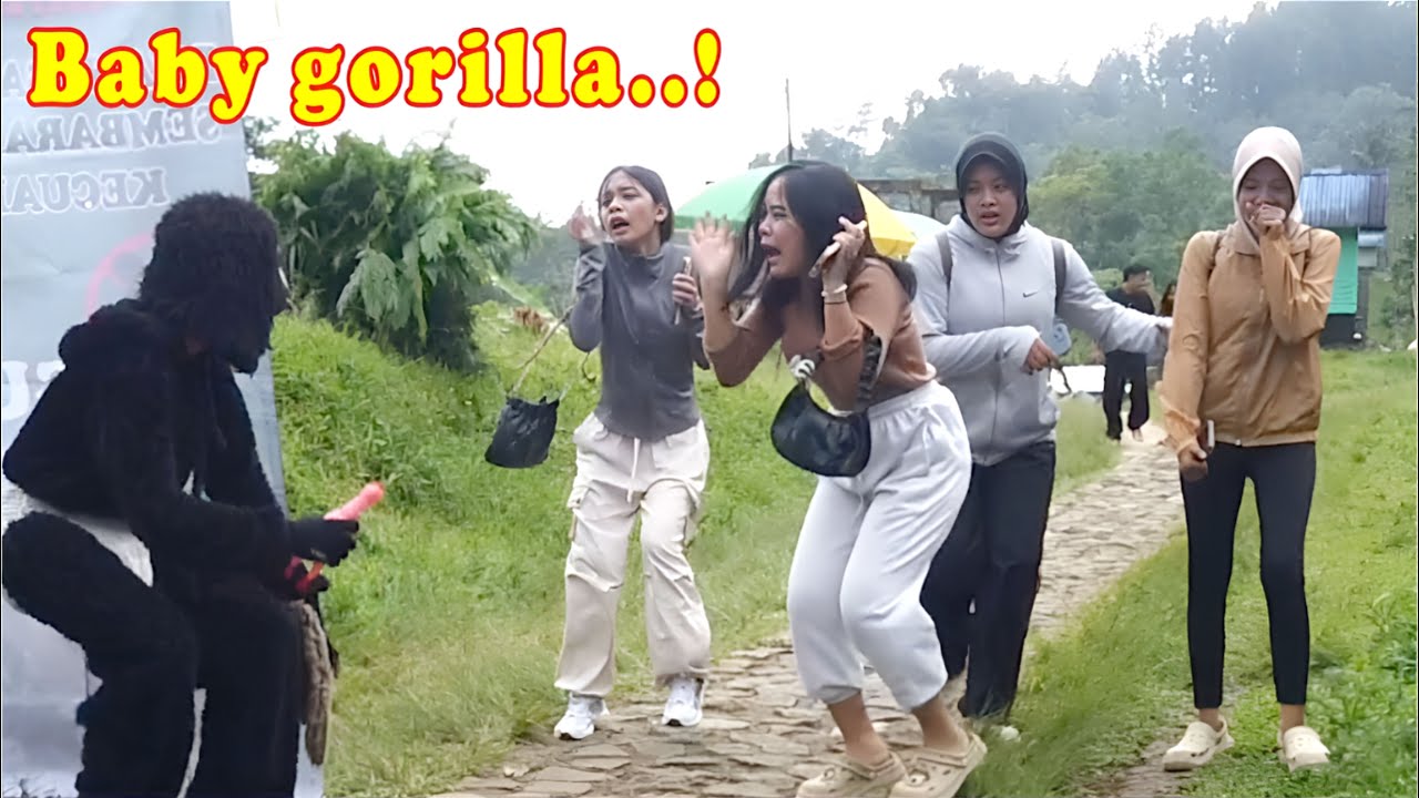Bayi Gorila super tengil..!! Funny video Prank