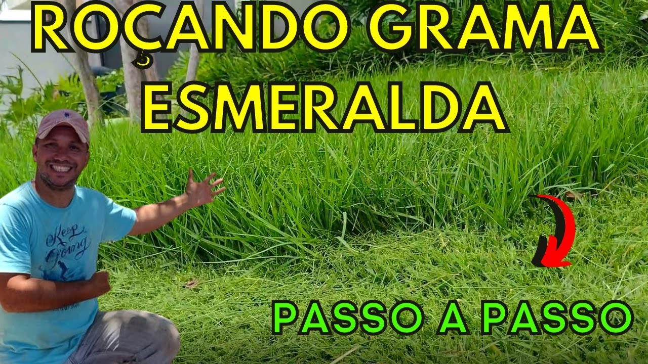 GRAMA ESMERALDA - Como Ro&ccedil;ar um Jardim com Grama Esmeralda do Jeito Certo!