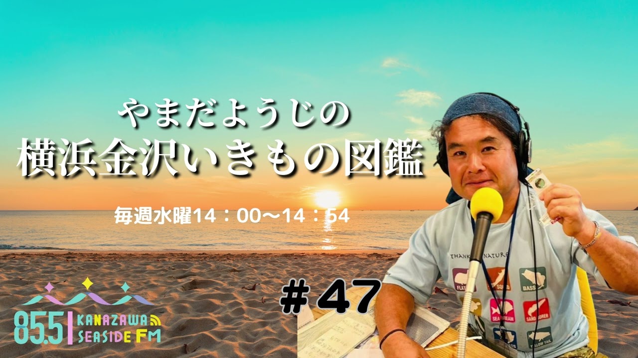 ラジオ番組『やまだようじの横浜金沢いきもの図鑑#４７』20250108放送回