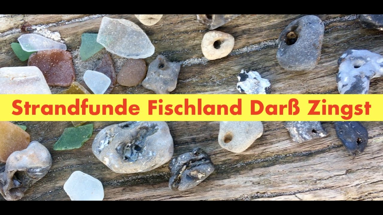 Fundstücke Spaziergang Fischland  Darß Zingst Weststrand Ostsee Natur pur #notalking #asmr
