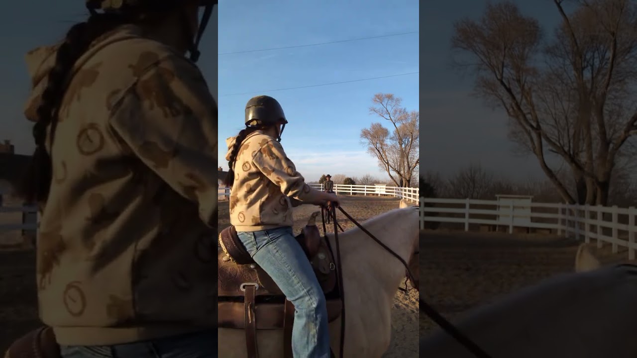 Riding horse in training