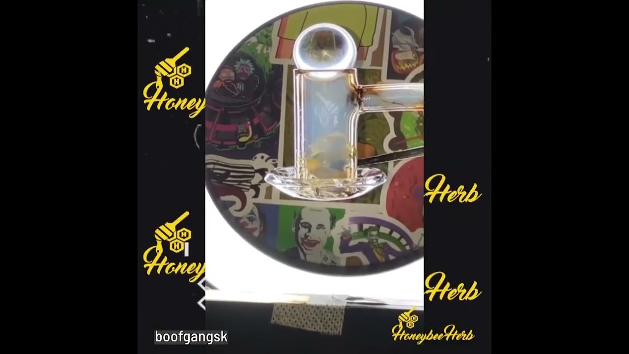 Beehive 90 Degree Quartz Banger Meltshots #honeybeeherb