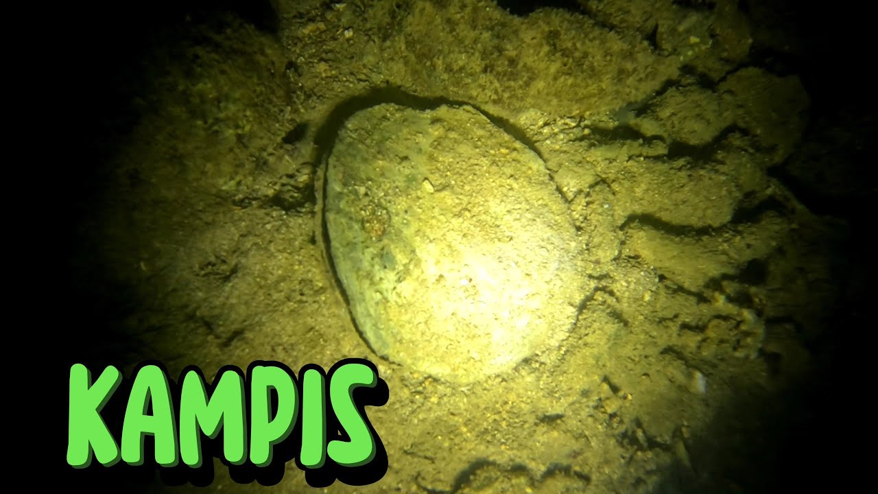Ep170: 2nd NIGHT SPEARFISHING AT CAROT ANDA PANGASINAN PHILIPPINES || LAVARKADS
