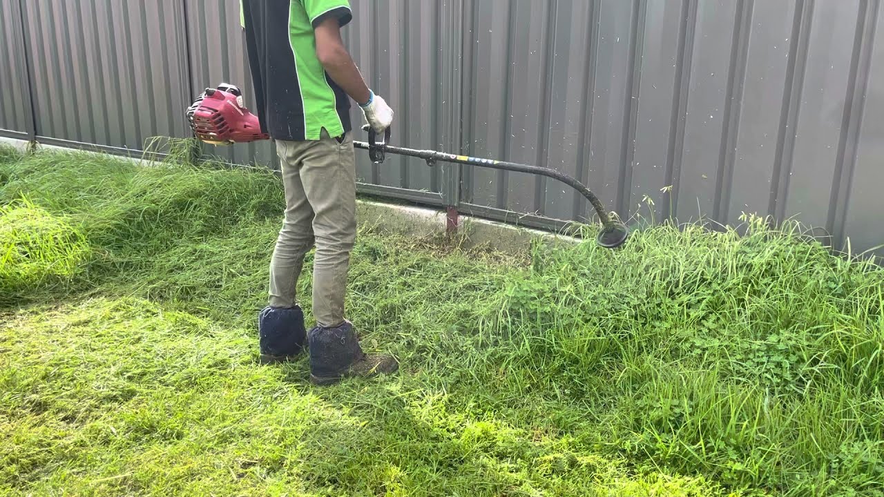 I break the tree just with my hand