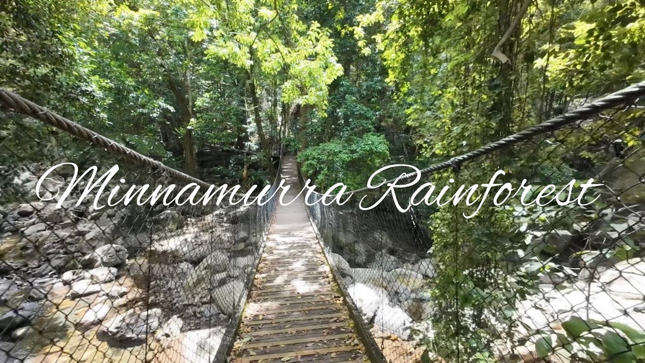Minnamurra Rainforest/ Minnamurra Falls 