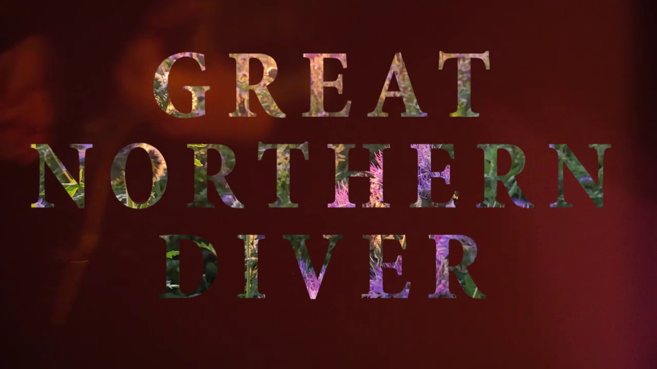 Great Northern Diver - Musicvideo