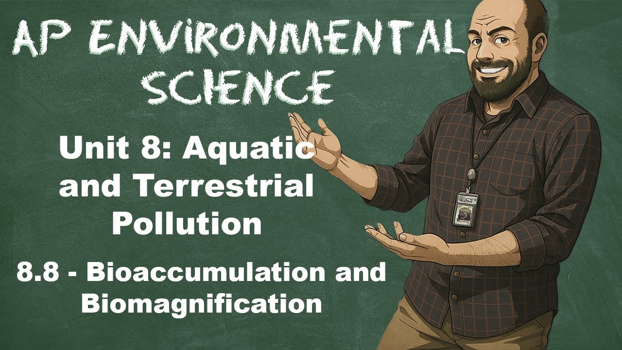 AP Environmental Science Unit 8 – Тема 8.8 Биоаккумуляция и биомагнификация