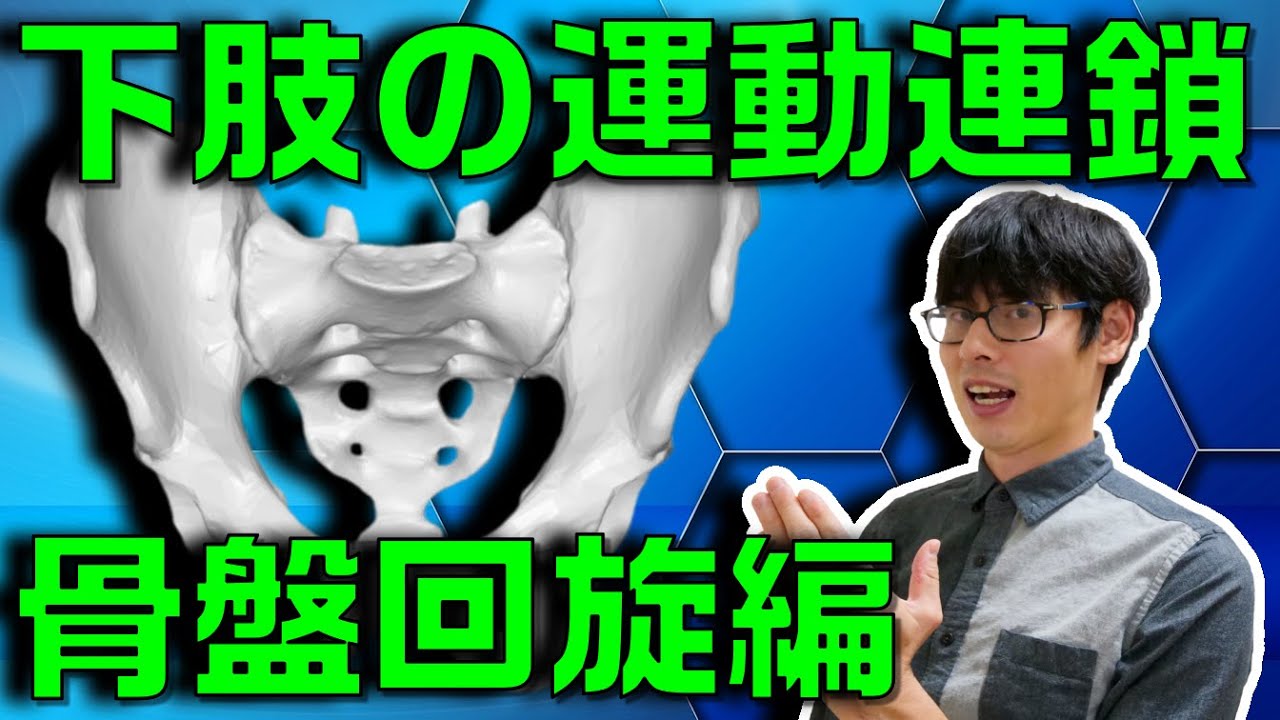 【理学療法士×運動連鎖】骨盤回旋に伴う下肢の運動連鎖に関する知識を解説します！
