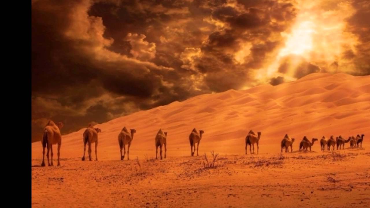 RON GOODWIN - CARAVAN
