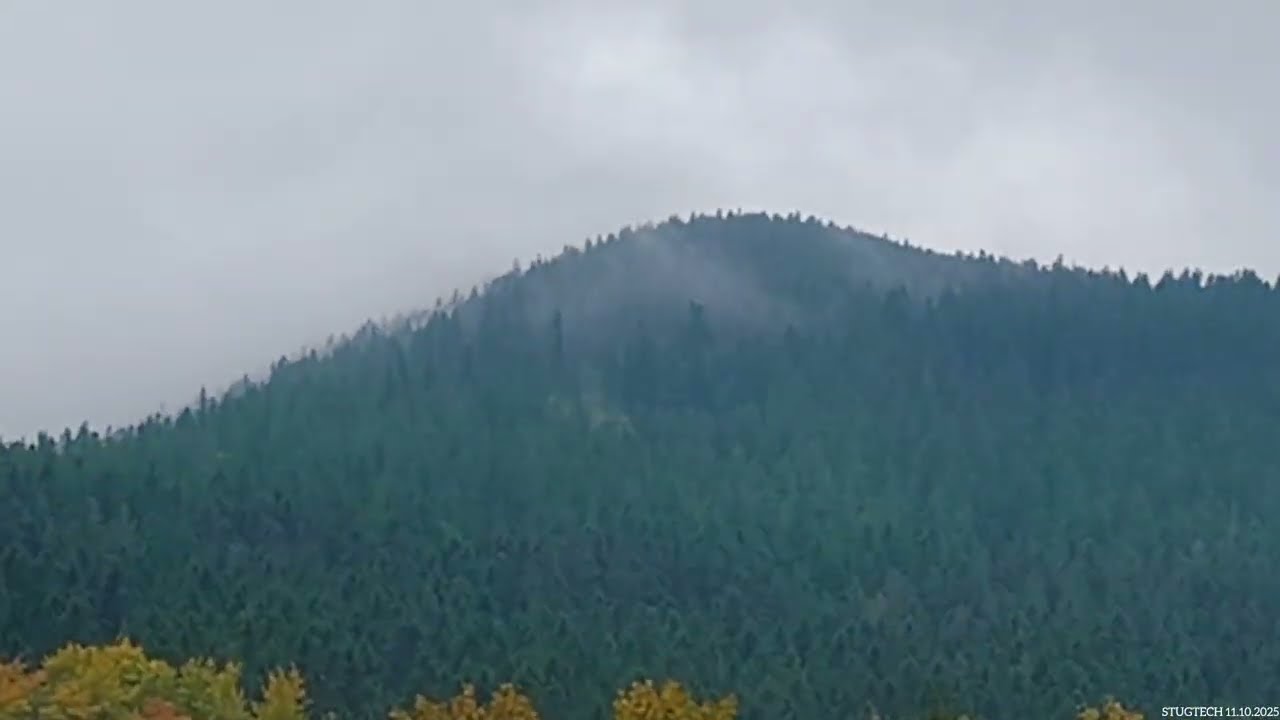 Panorama na dolinę Kleśnicy w Kletnie