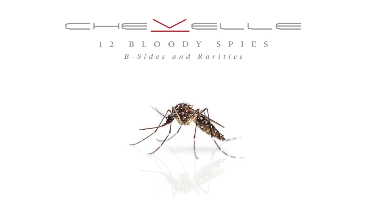 Chevelle - Delivery (Official Audio)