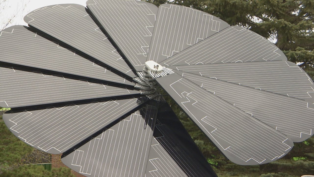 Saskatoon high school has a solar flower powered science program