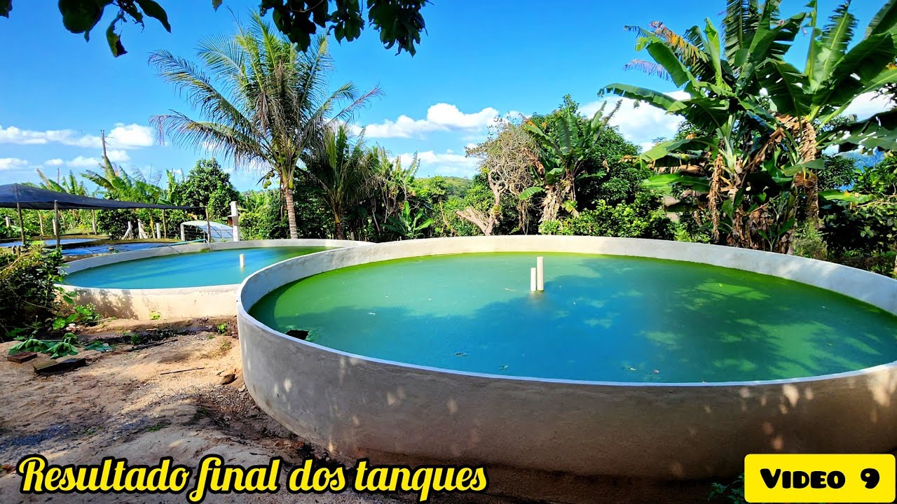 TANQUES para TILÁPIAS finalizados//enchendo pela primeira vez,será que deu certo? +  FAXINA na obra