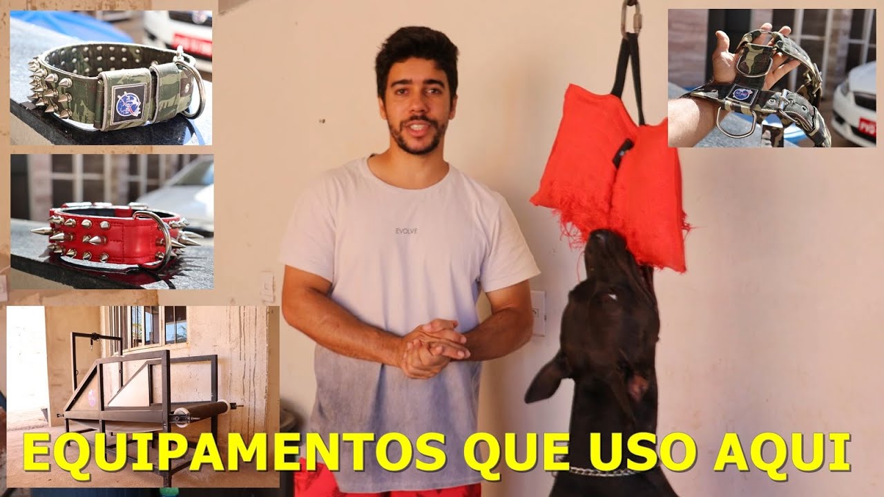 EQUIPAMENTOS QUE USO COM OS CACHORROS - POREM TOME MUITO CUIDADO POIS...