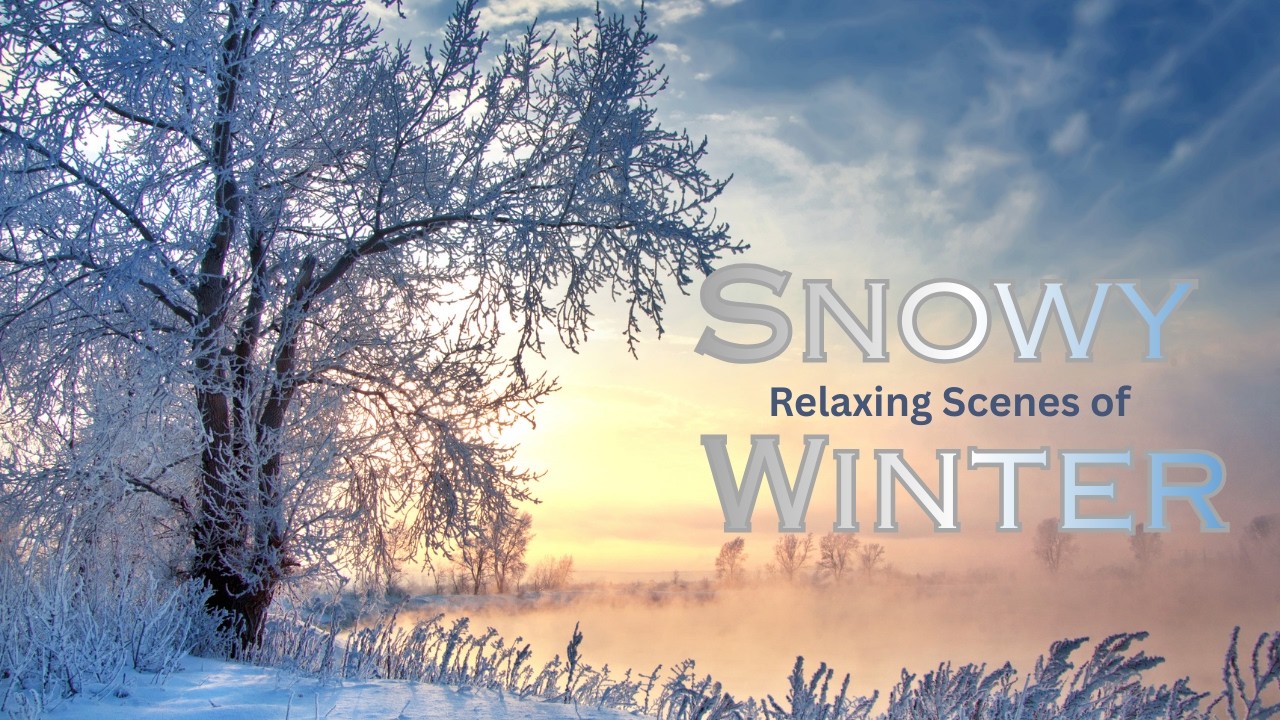 5 Hours of Winter Snow Ambience | Relaxing Music & Snowfall from Around the World