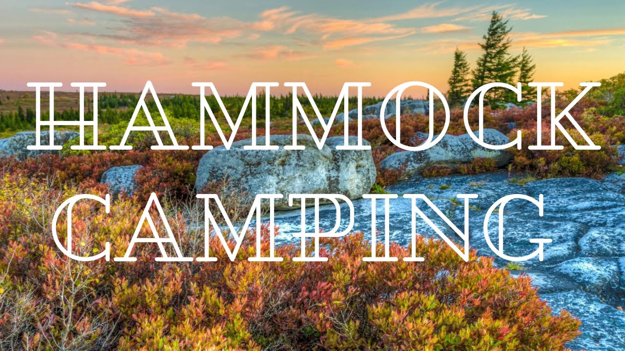 Dolly Sods Wilderness Area | Solo Camping