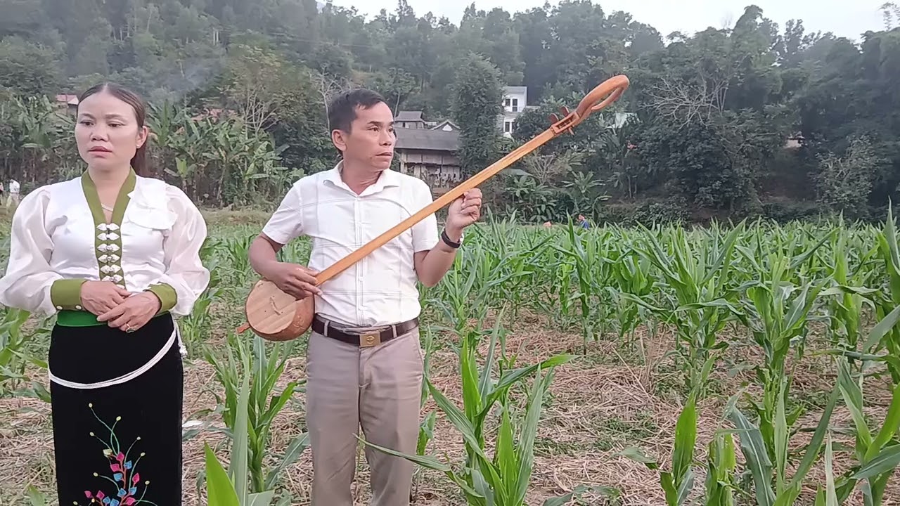 20 tháng 11, 2024