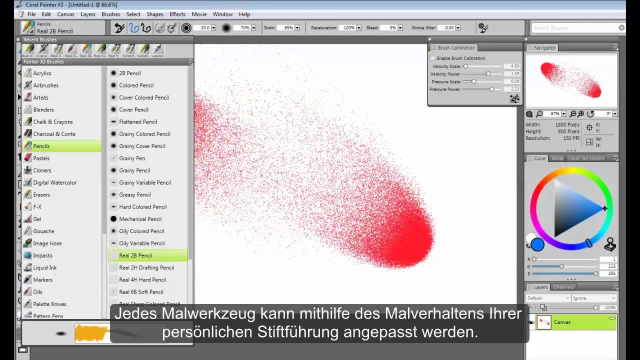 Realistische Borsten