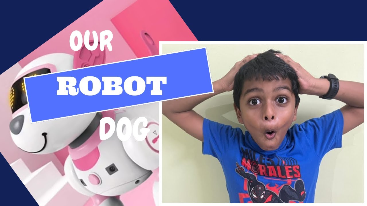 Meet my pet robot dog 