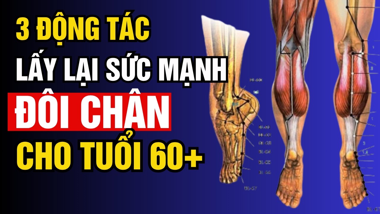 Sau tuổi 60, Đi Bộ thôi là Chưa Đủ: 3 Bài Tập giúp LẤY LẠI Sức Mạnh thực sự!