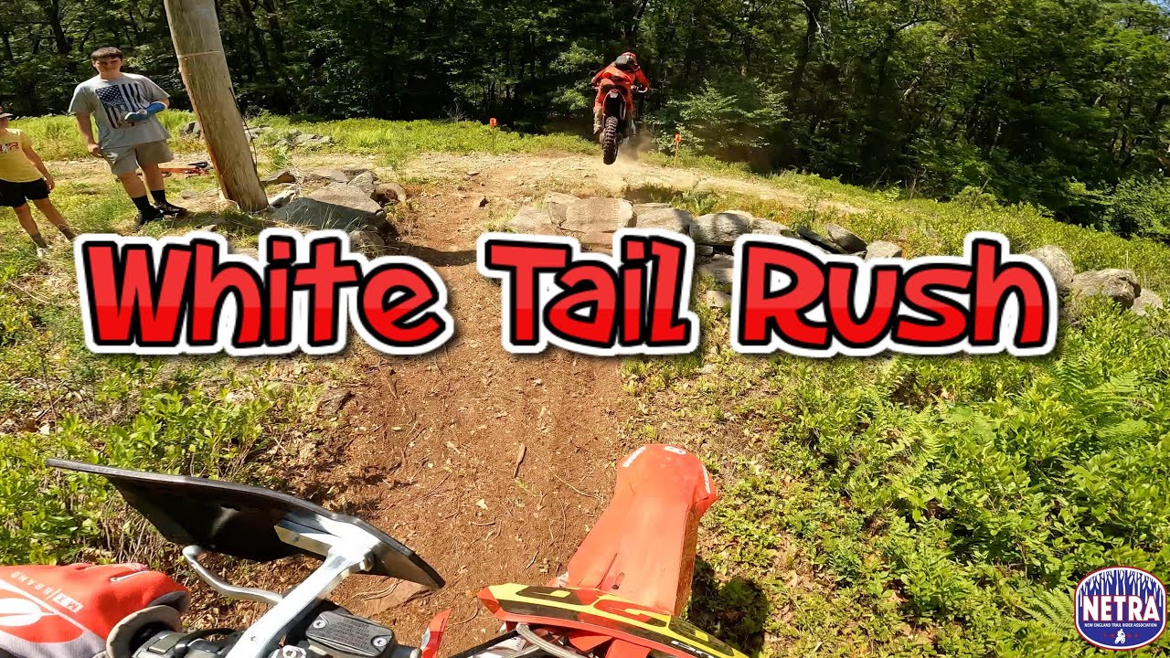 White Tail Rush Hare Scramble NETRA 2025