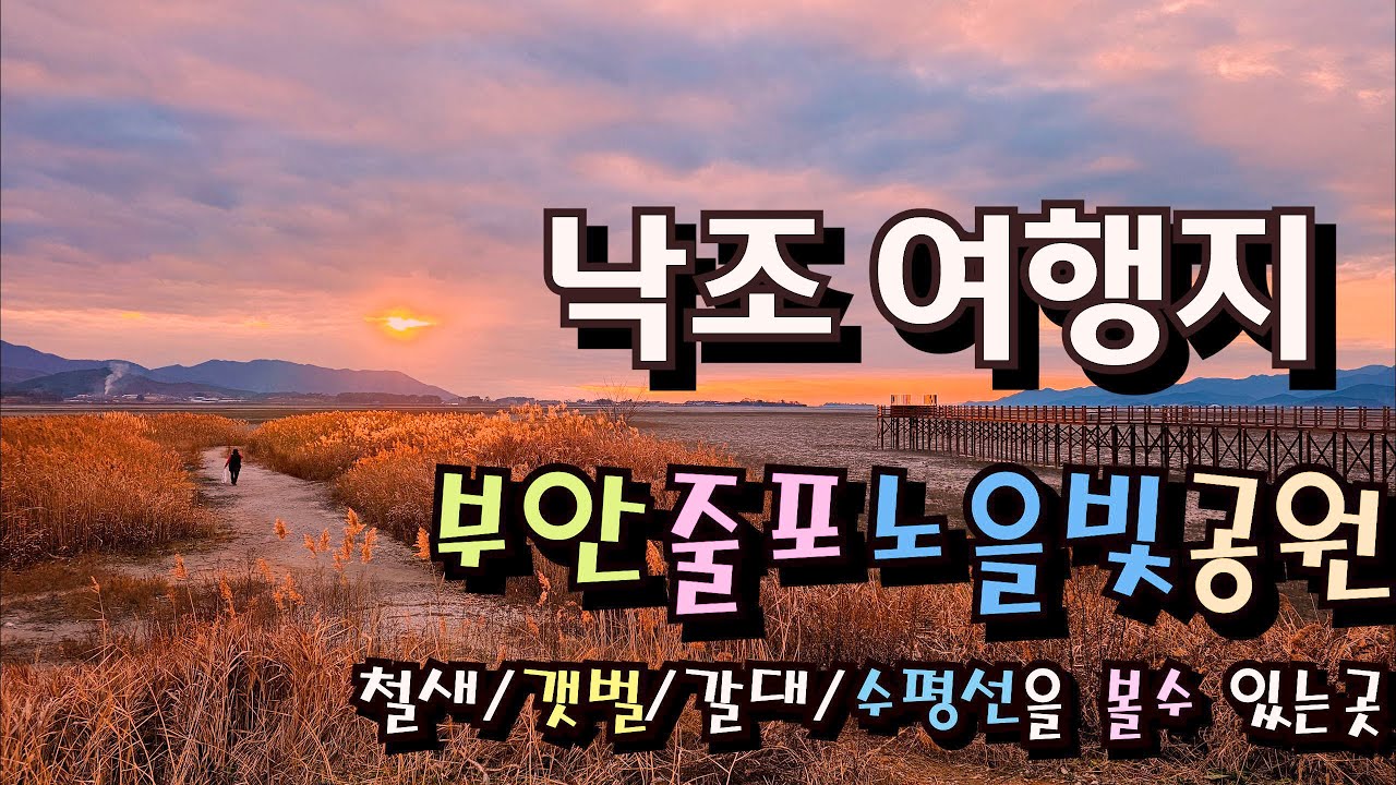 #갈대와 갯벌 철새들의 윤무도 보는  낙조[일몰]여행지/ /#부안여행 줄포 갯벌 생태공원 /#부안 여행 /#파크골프도치고 일몰명소도 보는 장소/#갈대가 아름다운 낙조여행지