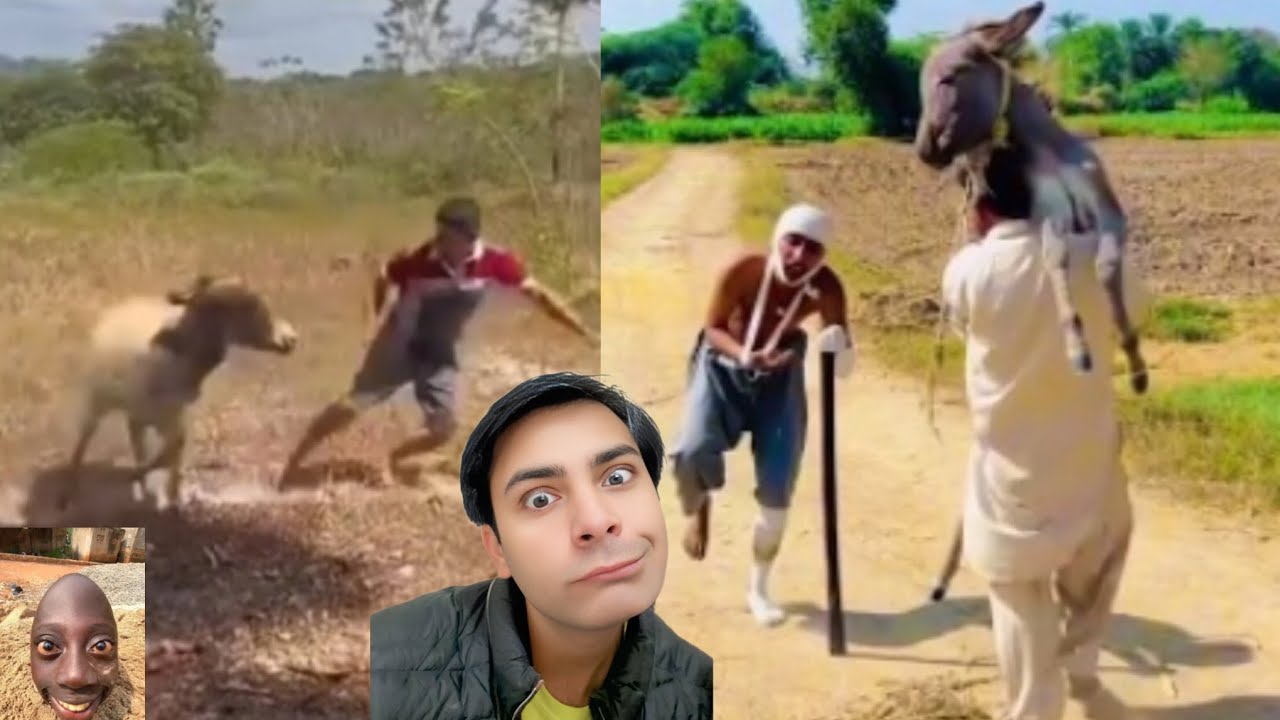 So funny memes over complete romantic lovely funny video comedy prank umeri umari Pakistani popular 