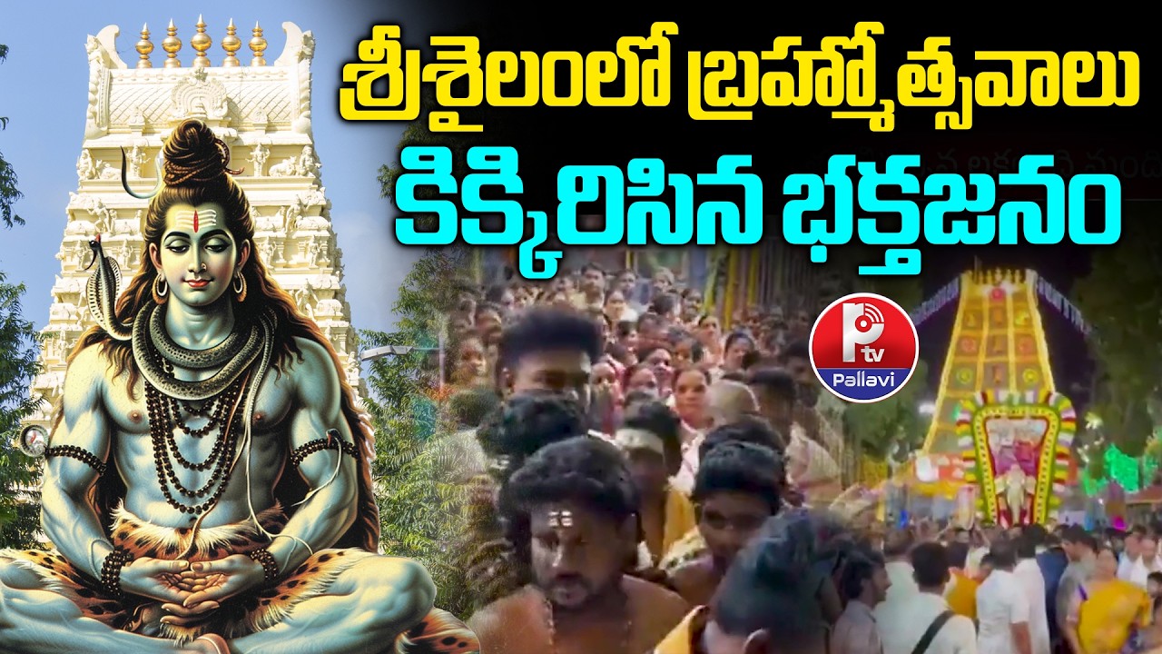 శ్రీశైలంలో బ్రహ్మోత్సవాలు| Srisailam Maha Sivaratri Bramhostavalu 2026 | Maha Shivratri Celebrations