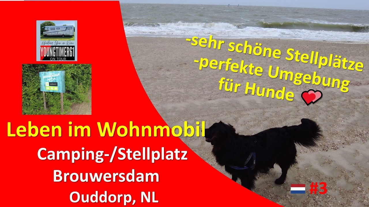 Unser Leben im Womo Teil 3 -🇳🇱 Camping Brouwersdam 🌧