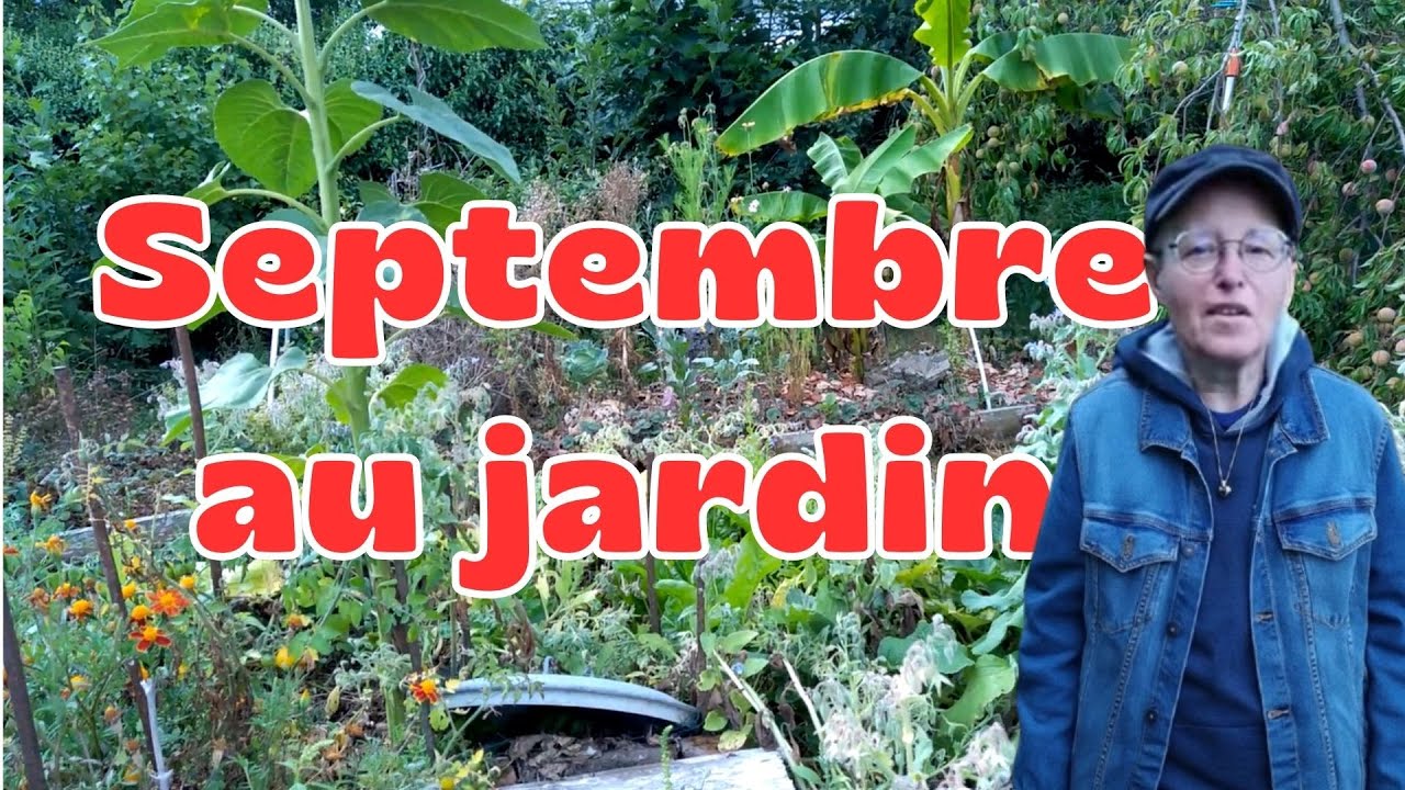 Les Travaux de Septembre au Potager Urbain en Permaculture