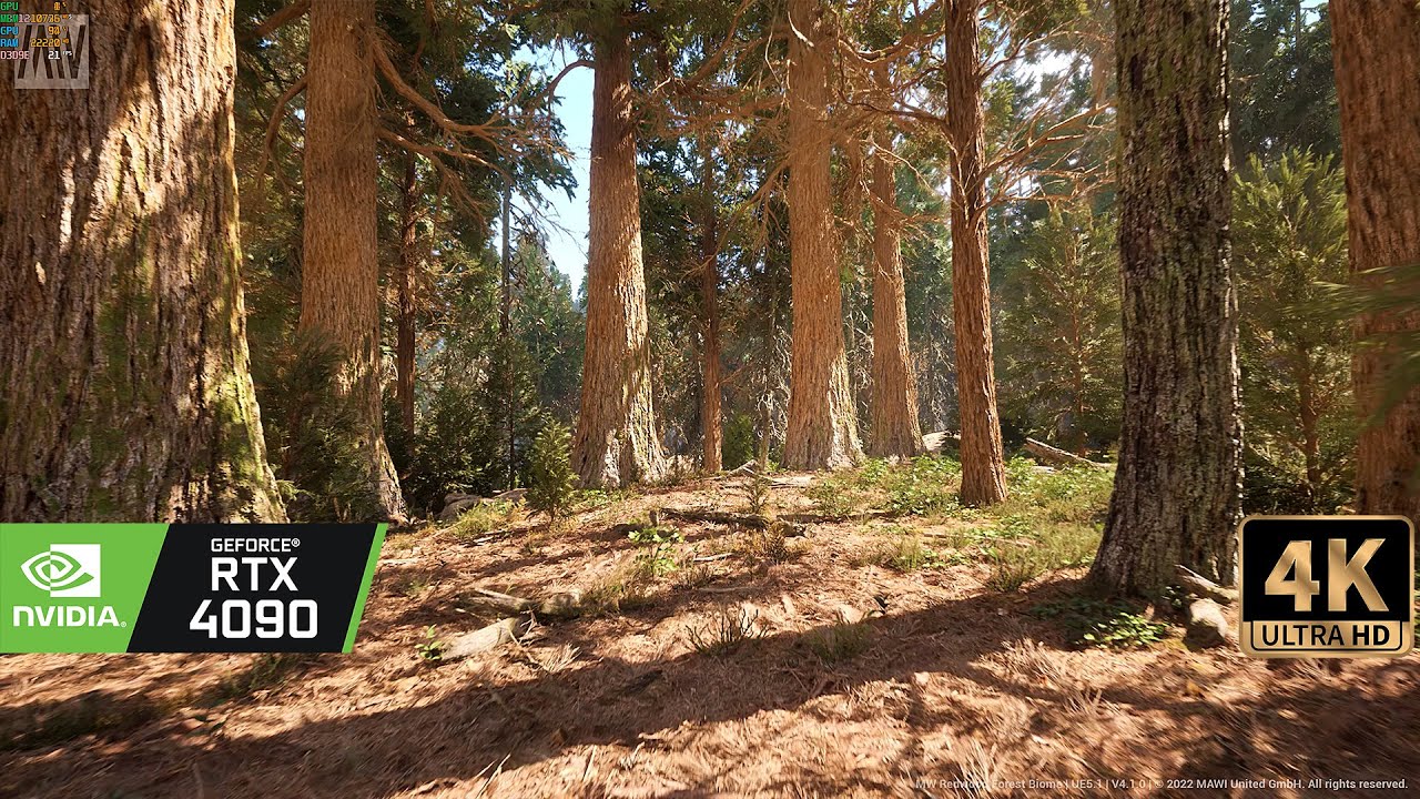 [4K] RTX4090 Virtual Forest Walk - Unreal Engine 5 Ultra Realistic Redwood Forest Demo