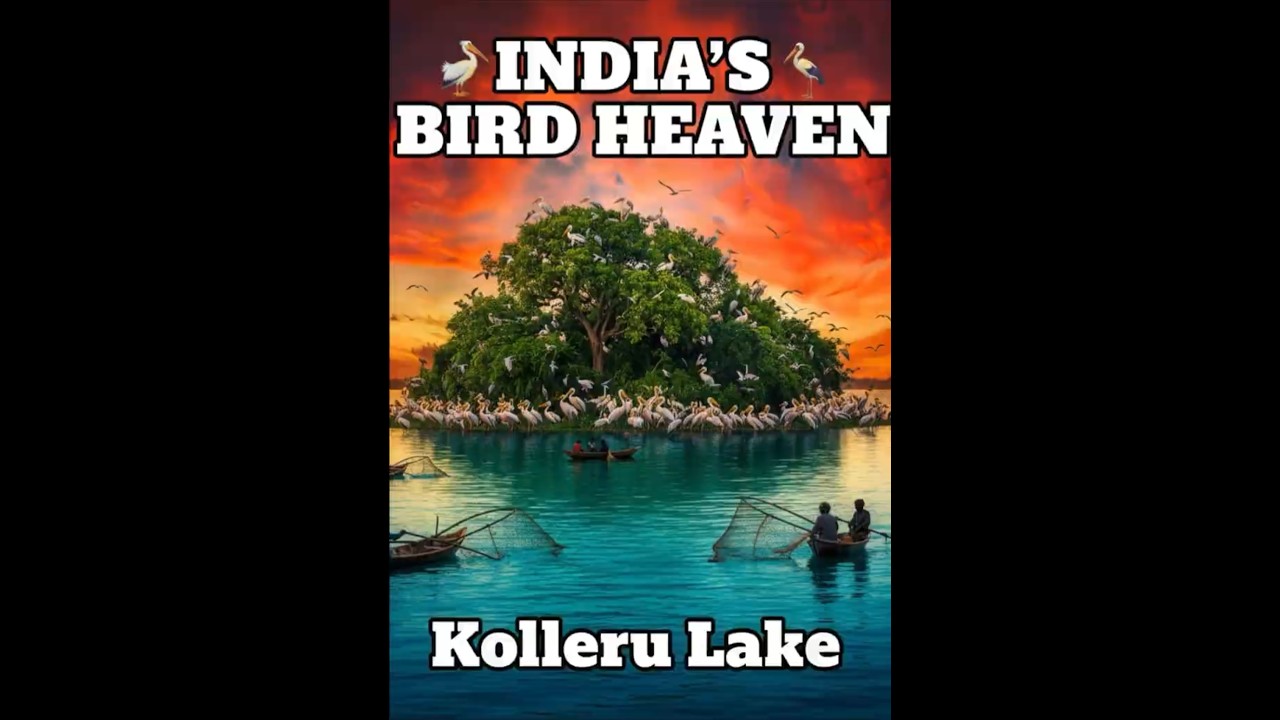 Kolleru Lake -Fresh water Lake | Places in News 