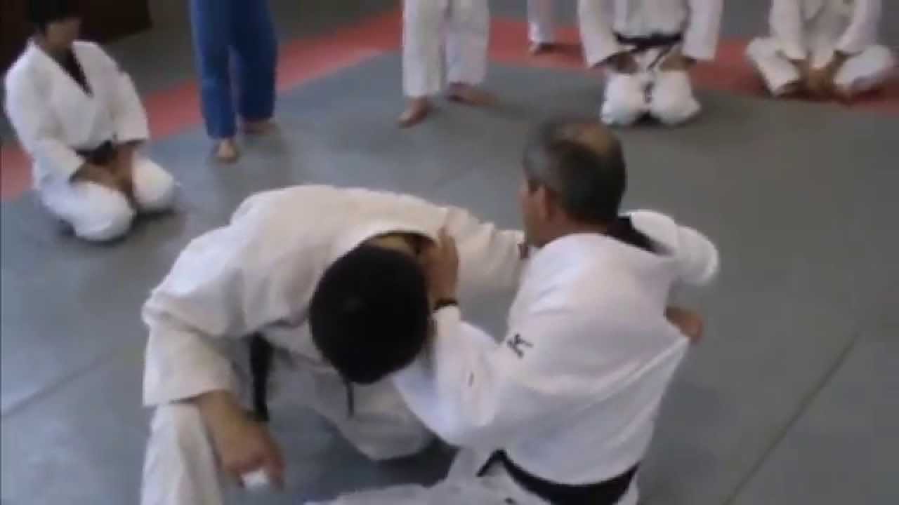 仁木征輝・柔道寝技～横返し