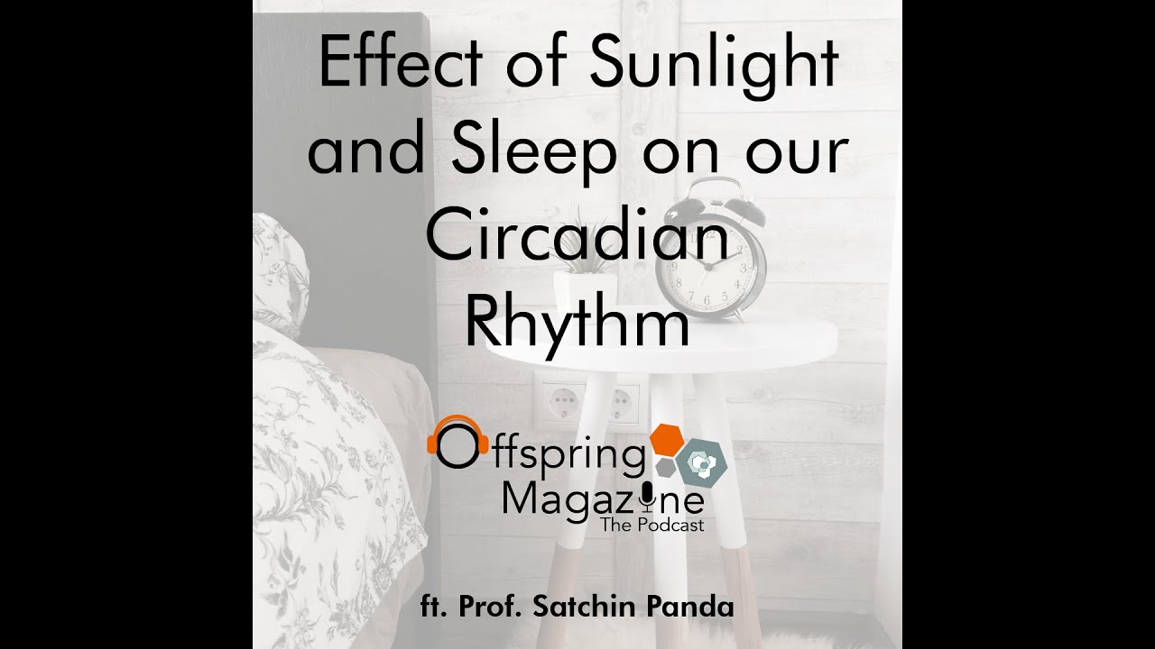 #3-06 - Effect of Sunlight and Sleep on our Circadian Rhythm - ft. Prof. Satchin Panda