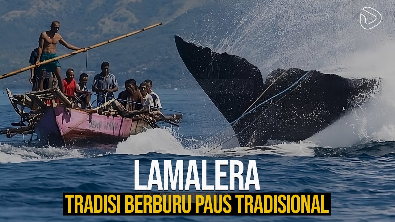 Lamalera: Tradisi Berburu Paus Tradisional Berusia Ratusan&nbsp;Tahun