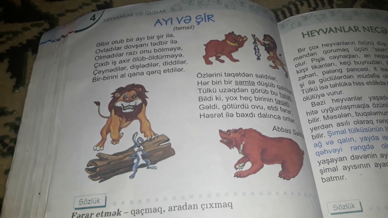 Ayı ve şir