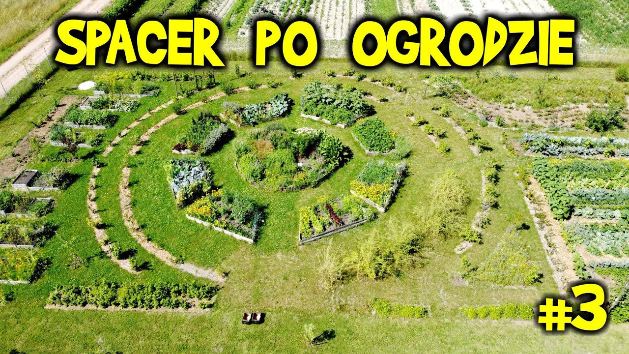 SPACER po OGRODZIE 3/2021 - sierpień - ogród z lotu ptaka, warzywa i owoce BEZ CHEMII