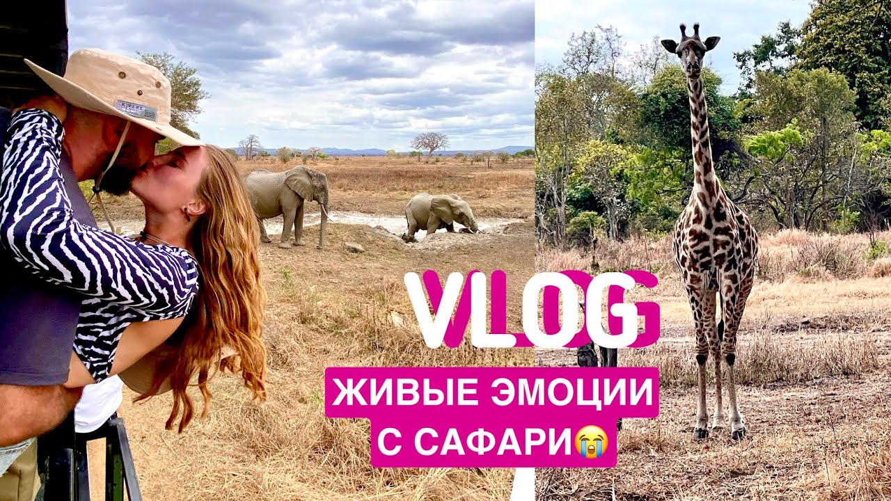 САФАРИ, в котором сбылись все мечты😭| парк Микуми, Занзибар, Африка