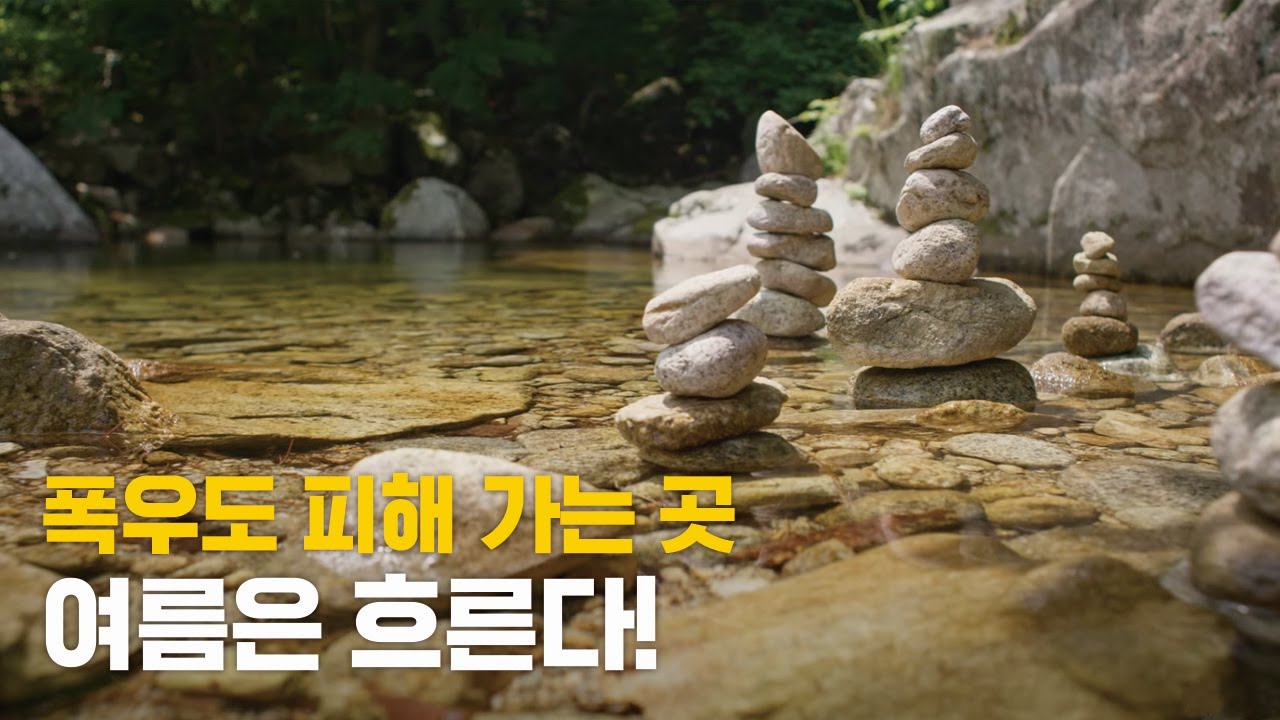 순한 여름이 흐르고 있다  •  오대산 노인봉 일출  •  소금강계곡  • 4K