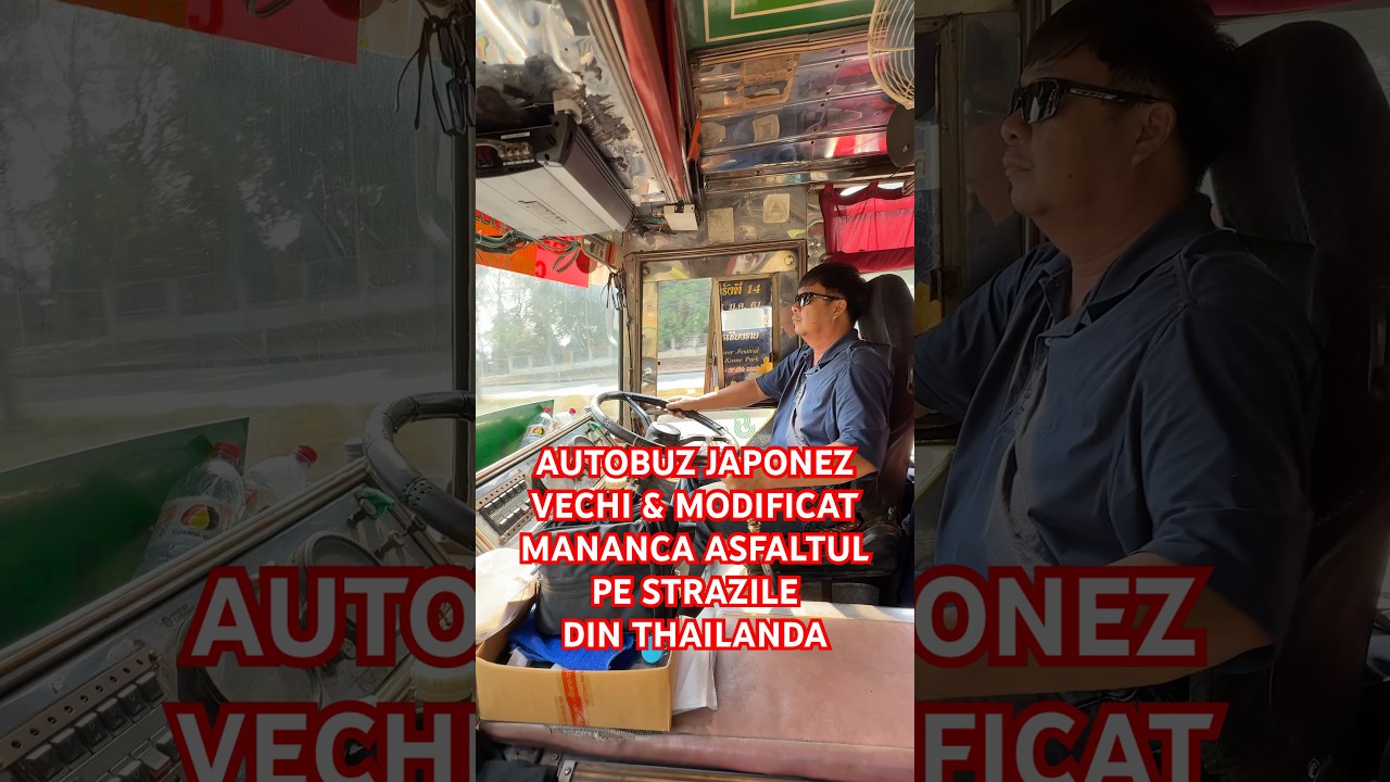 Sofer de bus in Thailanda face legea | Asigurati de Buddha? 