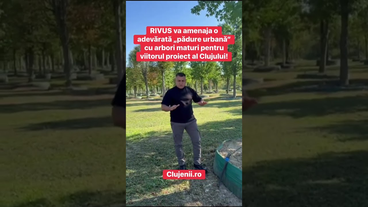 RIVUS va amenaja o adevărată „pădure urbană” cu arbori maturi pentru viitorul mall al Clujului!