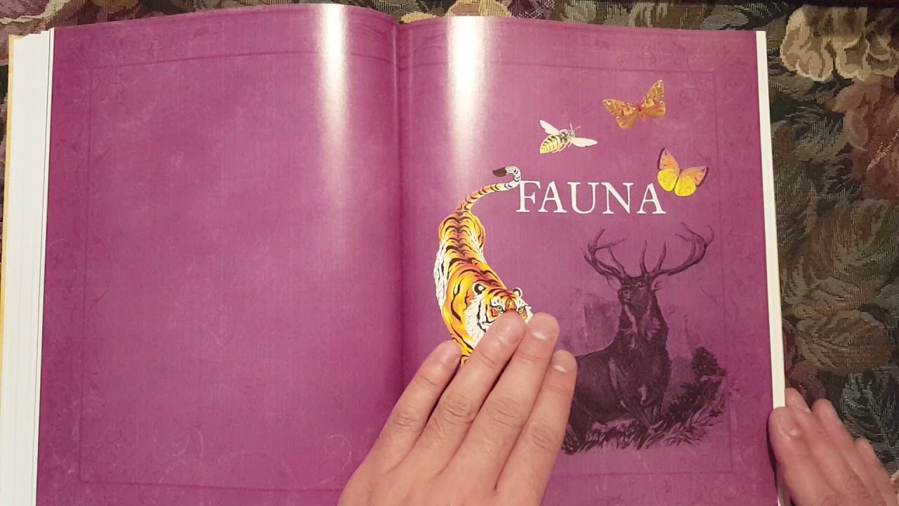 Walkthrough and review of the Signs and Symbols Sourcebook by Adele Nozedar