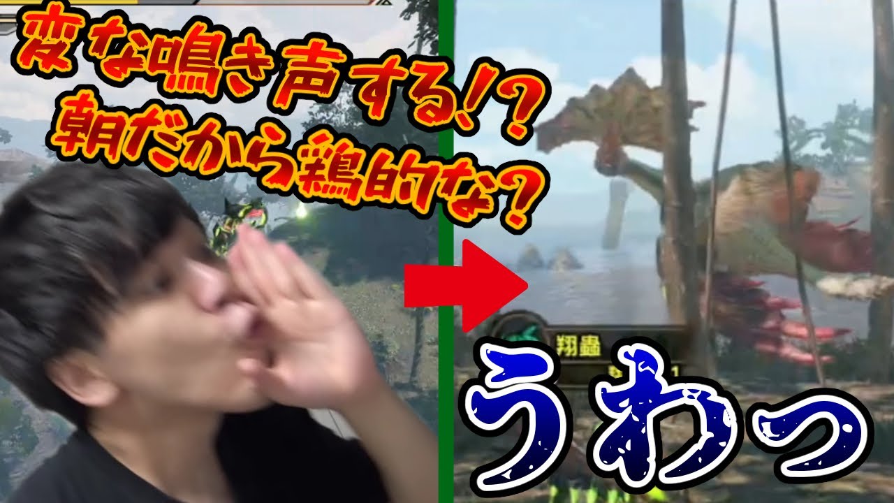 またしてもアケノシルムとの運命的な出会いをしてしまう【2022/06/19】