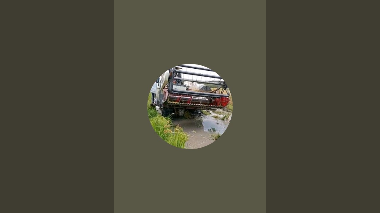 Kisah Tani sedang live sekarang!