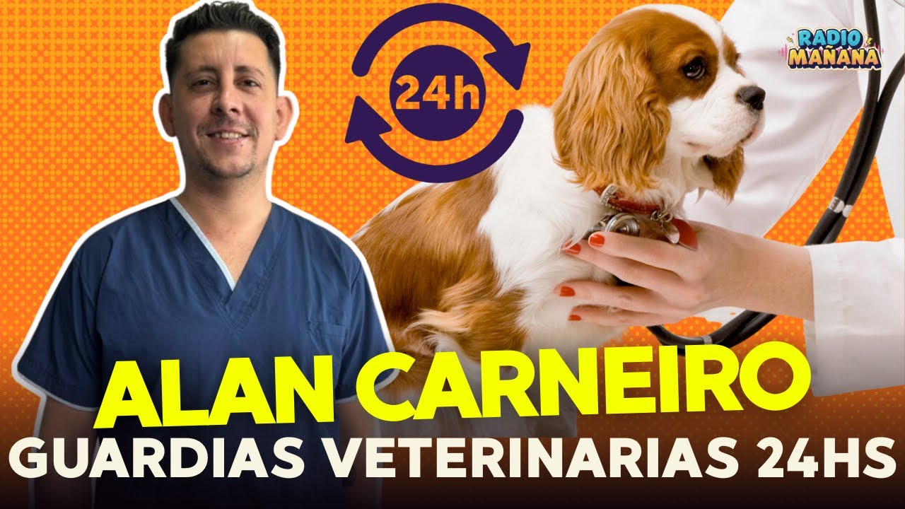 GUARDIA VETERINARIA 24 HS: UNA RESPUESTA CLAVE PARA LAS MASCOTAS | Radio Mañana Verano