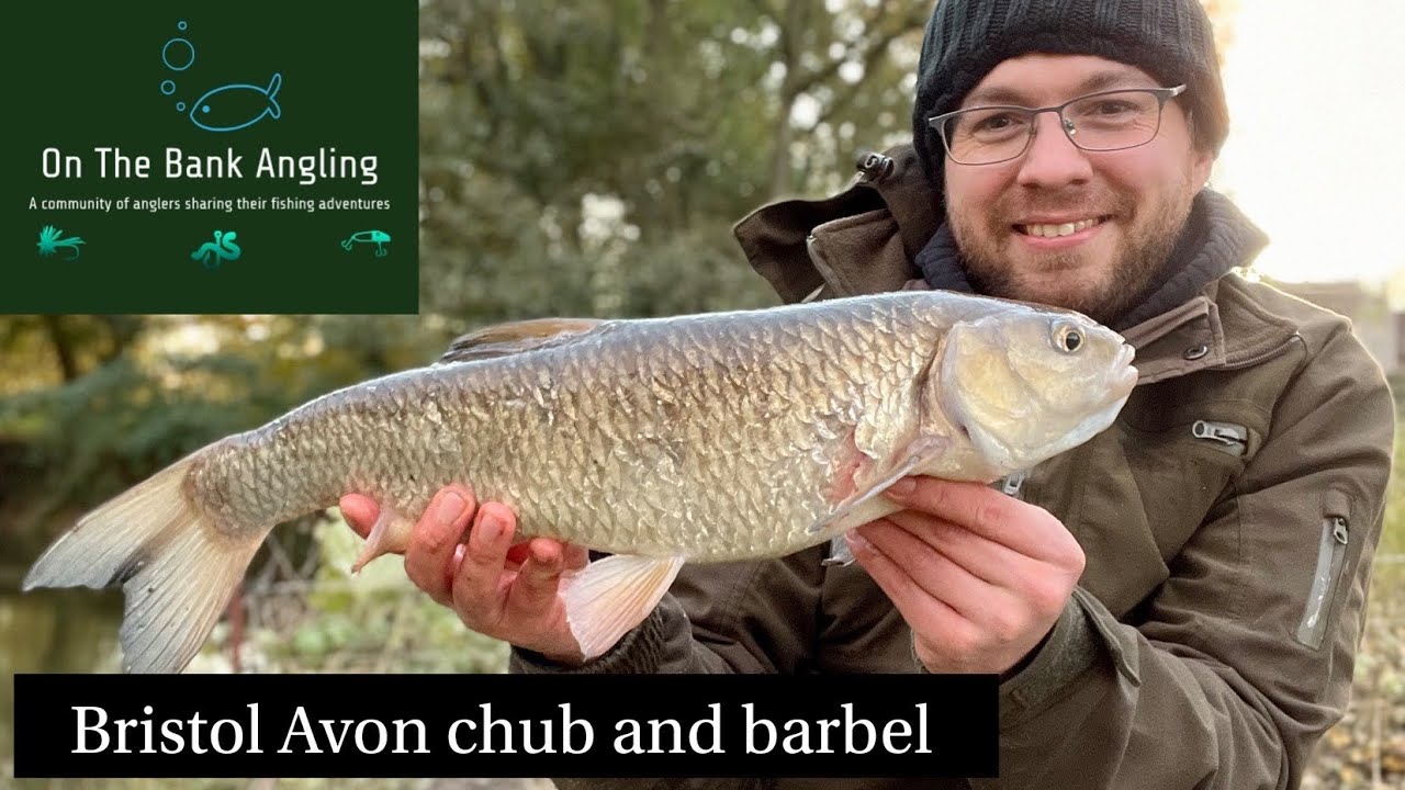 Chub and Barbel Fishing on the Bristol Avon at Lacock