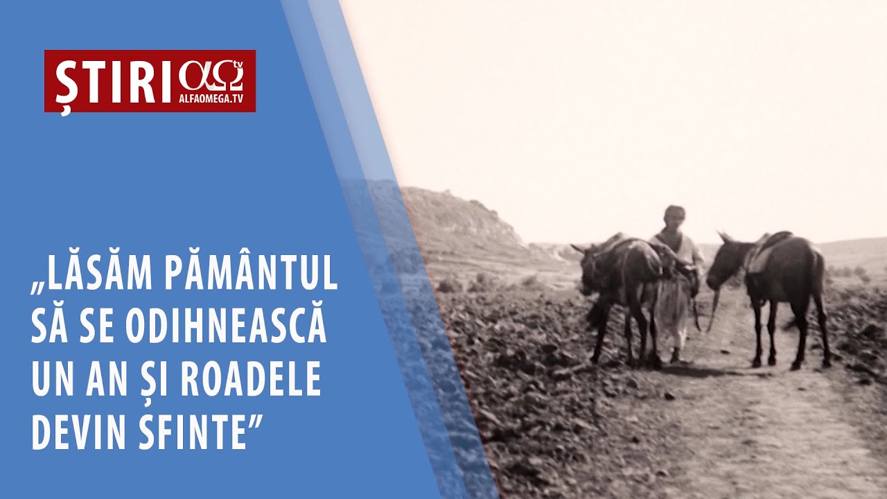 Perspectiva biblică a conceptului 