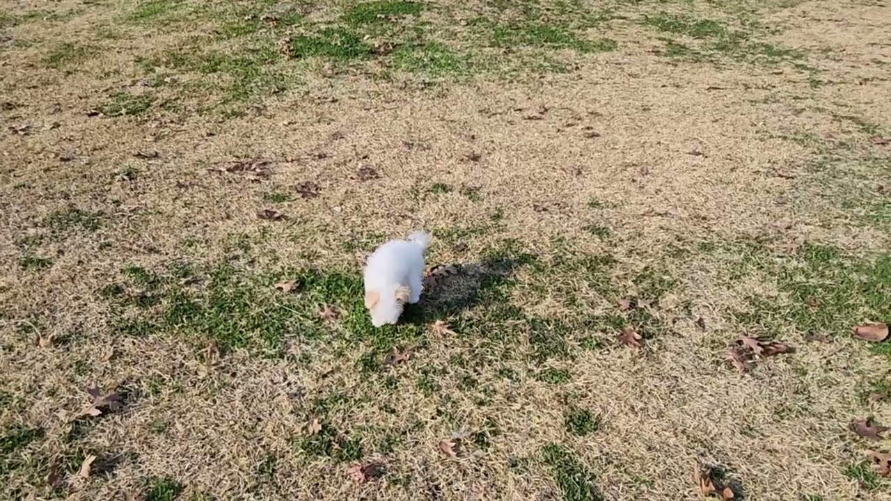 첫 나들이 