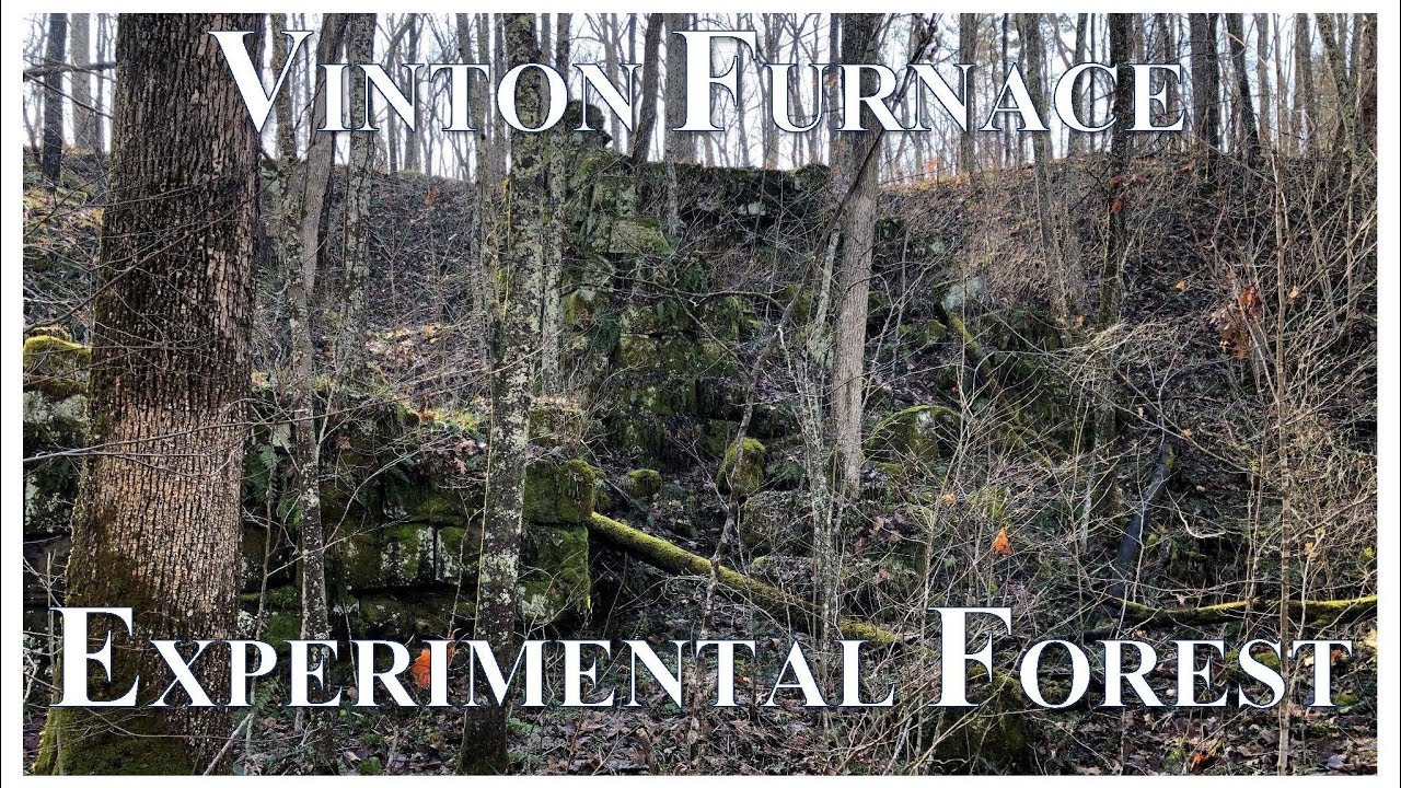 Vinton Furnace Experimental Forest 2019
