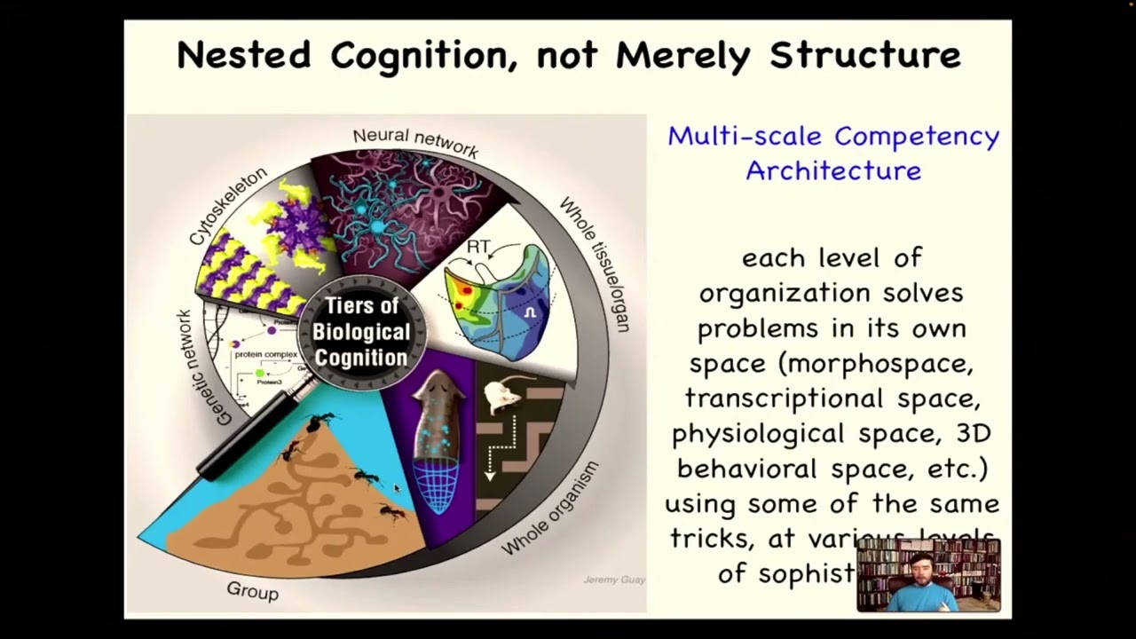 From physics to mind - Prof. Michael Levin